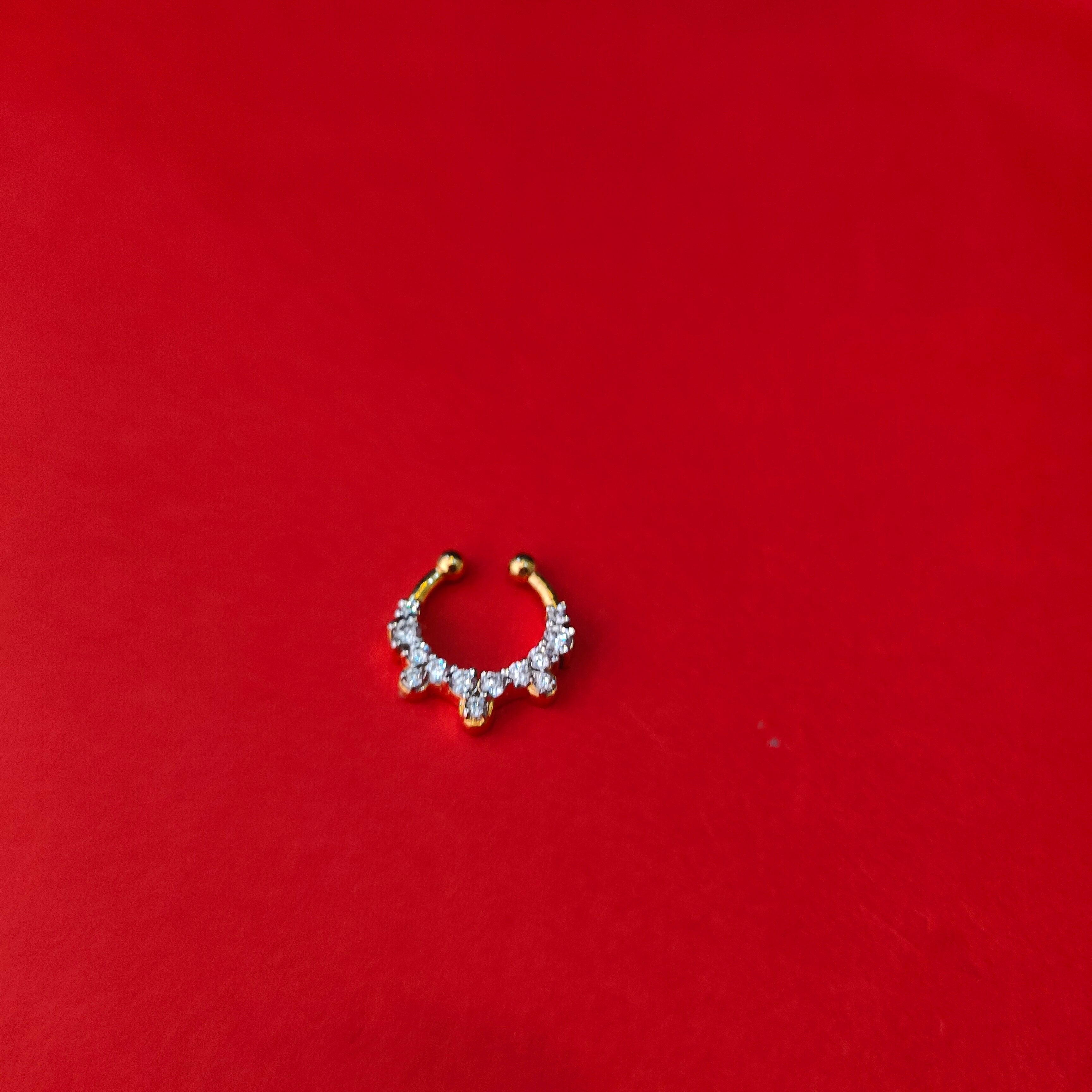 Theia Septum Pin -1059